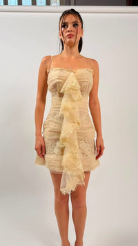 Ruffled Tulle mini dress