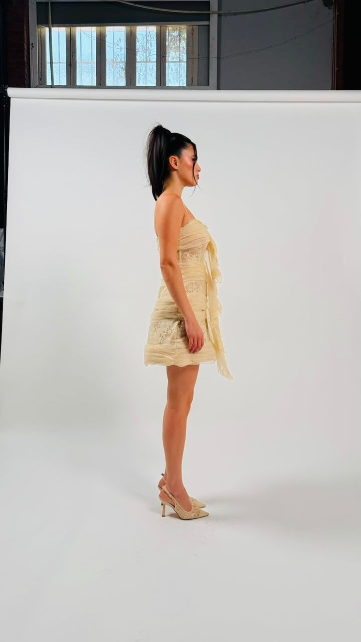 Ruffled Tulle mini dress