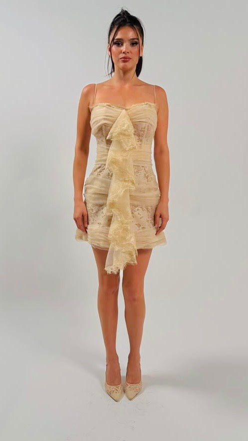 Ruffled Tulle mini dress