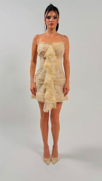 Ruffled Tulle mini dress